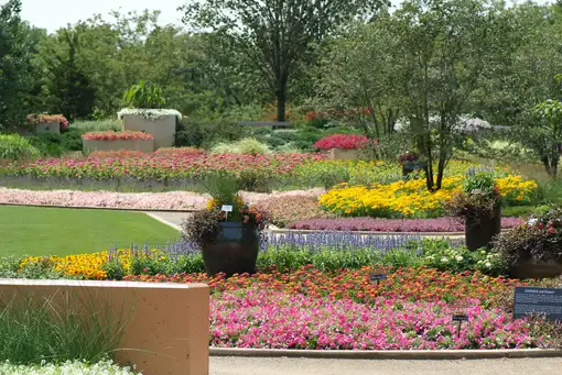 Saturday, August 15 Open Day at The Gardens at Ball- Session 1
