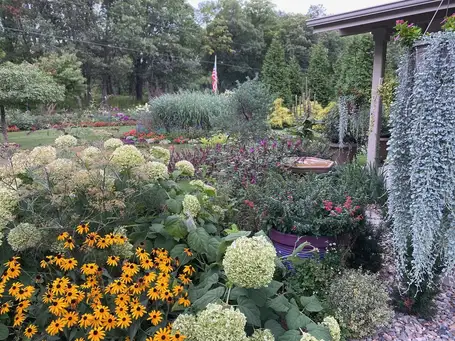 Saturday, August 8 Open Day at Wildwood Garden