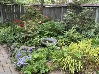 Open Day at Kinsey-Pope Garden, Session 1