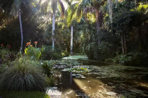 The Jungle Garden: Preserving a Tropical Landscape (Webinar Only)