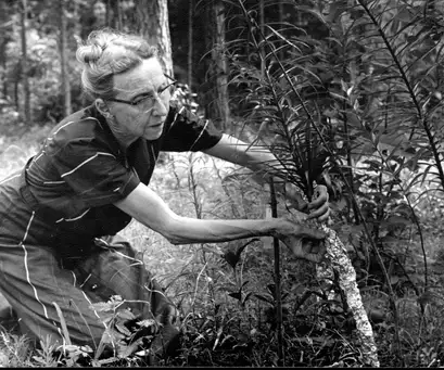 Southern Women, Southern Landscapes:  Real and Imagined Afterlives of Gardens