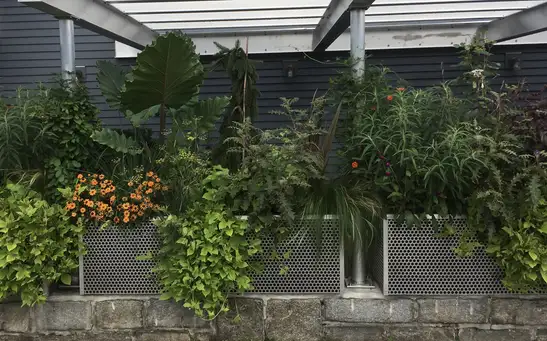 Open Day at A Pocket Garden of Surprises