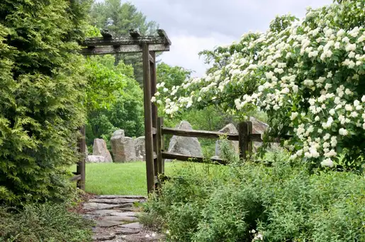 Distant Hill Gardens
