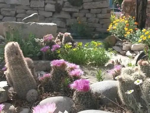 The Garden Conservancy Preservation Partner Garden