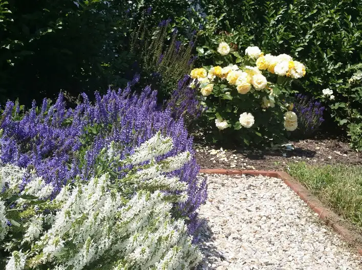 The Garden Conservancy Preservation Partner Garden