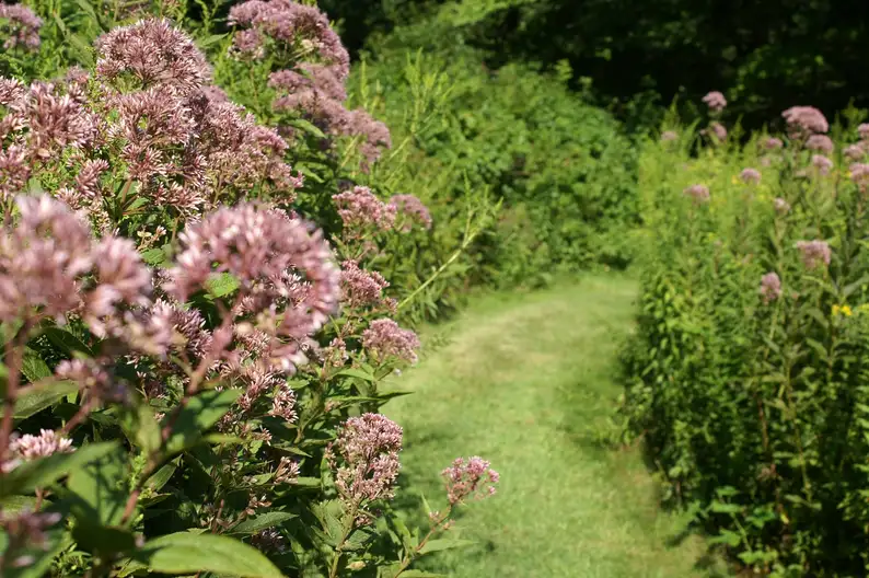 The Garden Conservancy Preservation Partner Garden