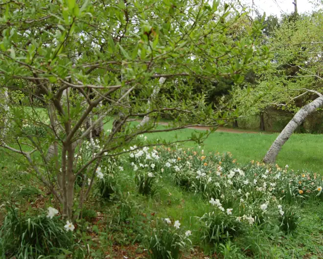 The Garden Conservancy Preservation Partner Garden