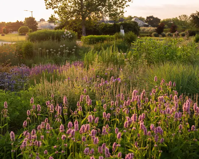 The Garden Conservancy Preservation Partner Garden