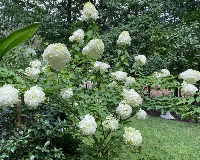 The Garden Conservancy Preservation Partner Garden