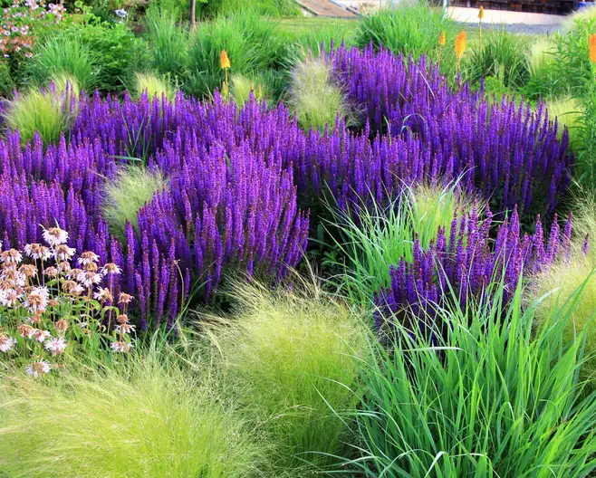 The Garden Conservancy Preservation Partner Garden