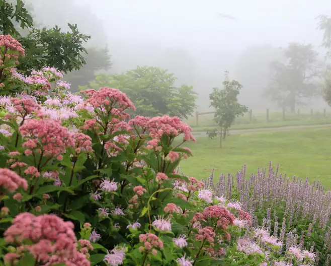 The Garden Conservancy Preservation Partner Garden