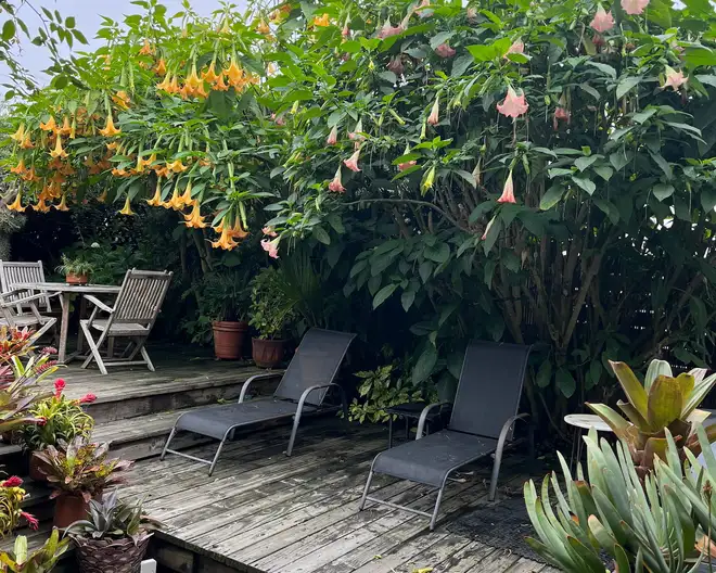 The Garden Conservancy Preservation Partner Garden