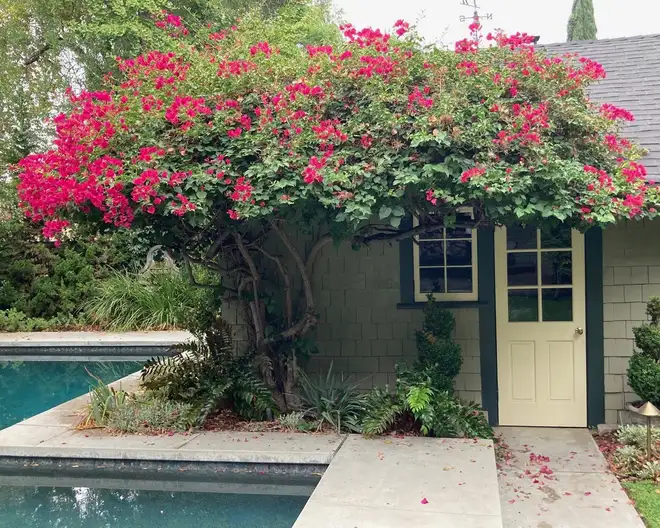 The Garden Conservancy Preservation Partner Garden