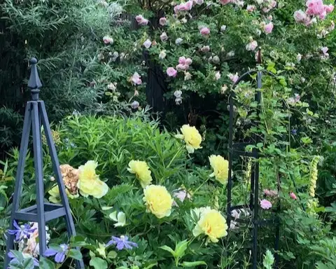 The Garden Conservancy Preservation Partner Garden