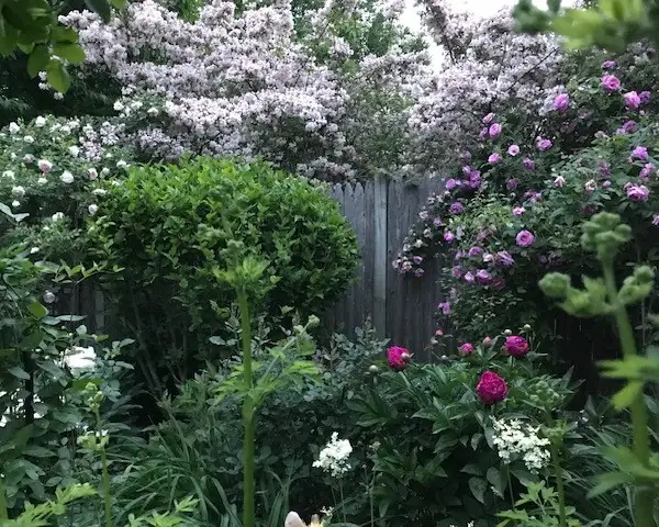 The Garden Conservancy Preservation Partner Garden