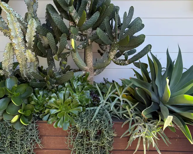 The Garden Conservancy Preservation Partner Garden