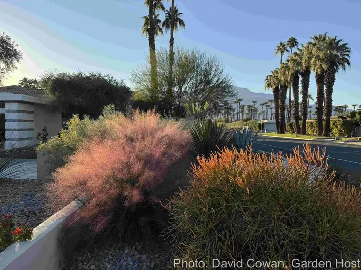 The Garden Conservancy Preservation Partner Garden