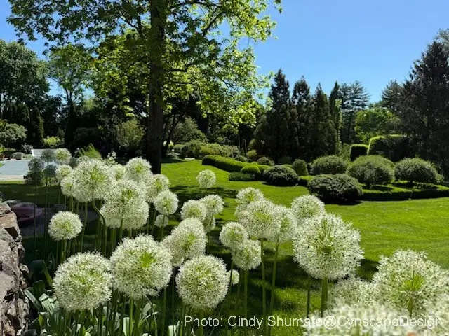 The Garden Conservancy Preservation Partner Garden