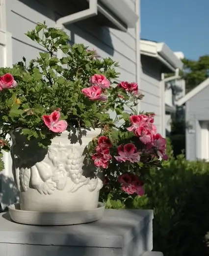 The Garden Conservancy Preservation Partner Garden