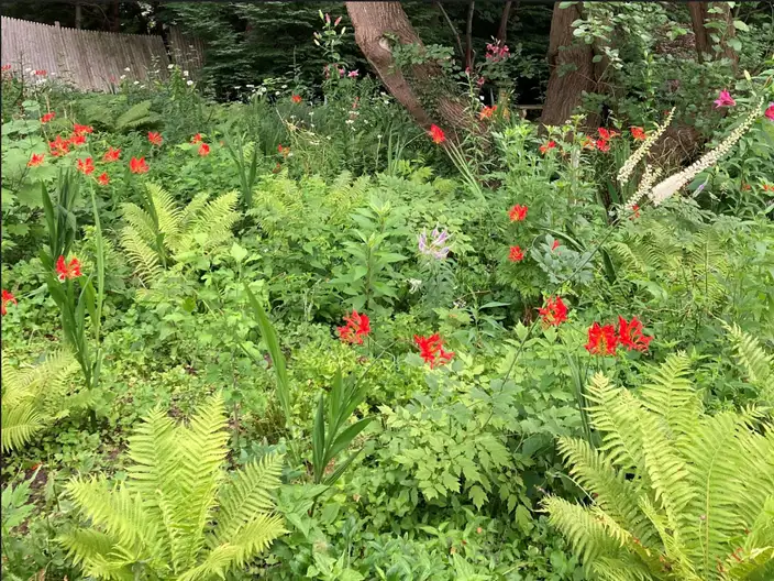 The Garden Conservancy Preservation Partner Garden