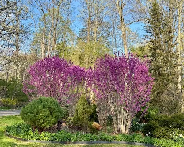 The Garden Conservancy Preservation Partner Garden