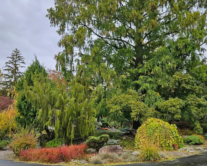 The Garden Conservancy Preservation Partner Garden