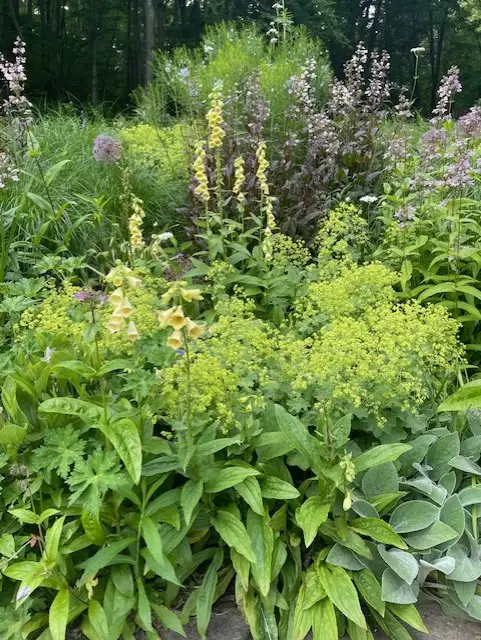 The Garden Conservancy Preservation Partner Garden