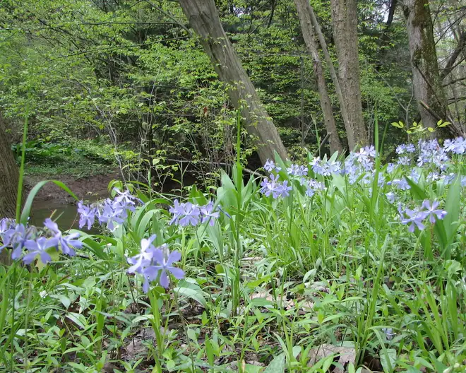 The Garden Conservancy Preservation Partner Garden