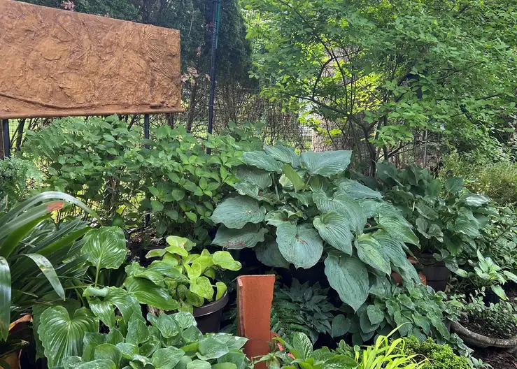 The Garden Conservancy Preservation Partner Garden