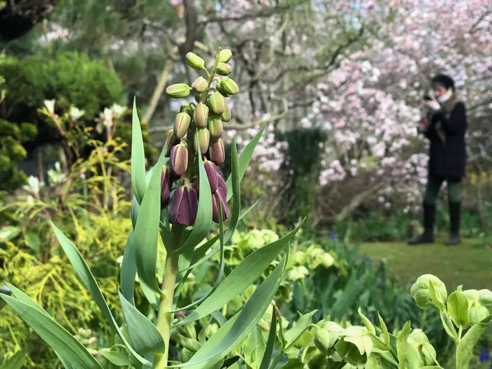 The Garden Conservancy Preservation Partner Garden