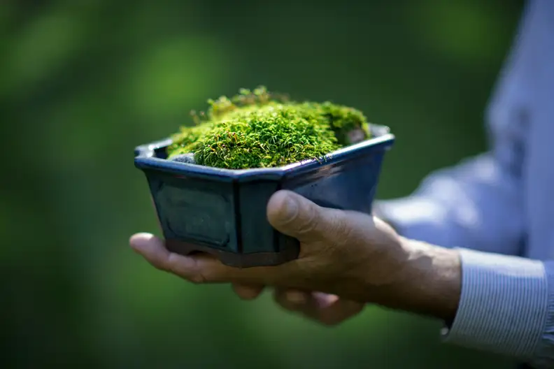 The Garden Conservancy Preservation Partner Garden