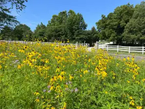 The Garden Conservancy Preservation Partner Garden