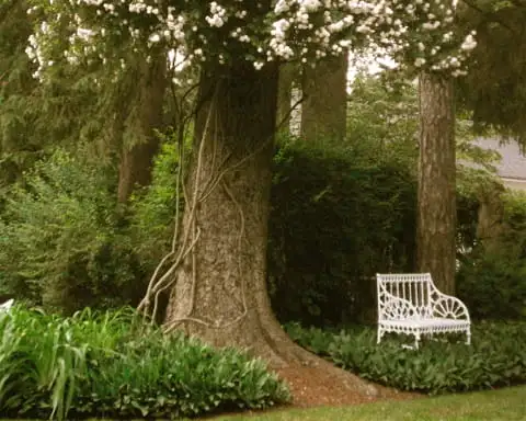 The Garden Conservancy Preservation Partner Garden