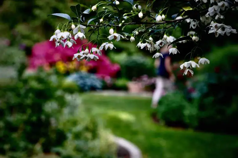 The Garden Conservancy Preservation Partner Garden