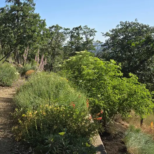 The Garden Conservancy Preservation Partner Garden