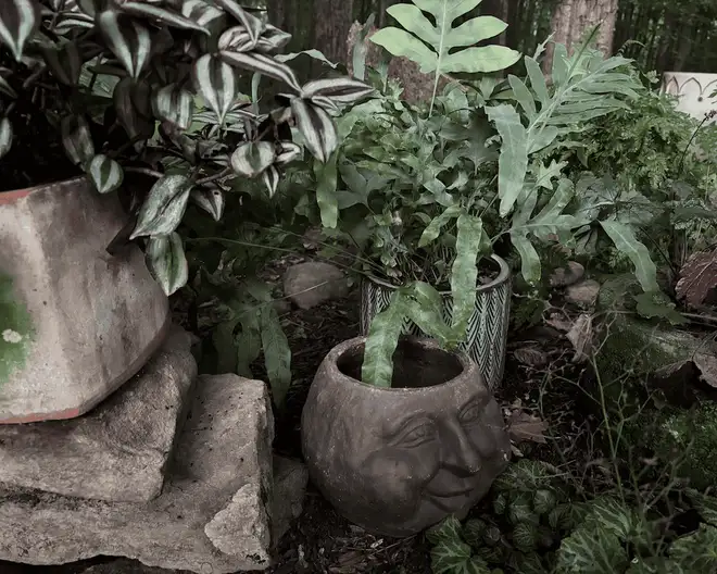 The Garden Conservancy Preservation Partner Garden