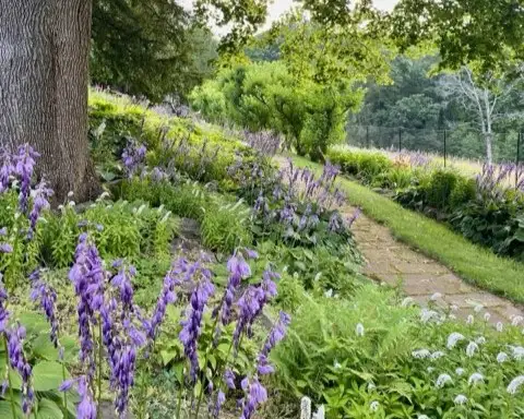 The Garden Conservancy Preservation Partner Garden
