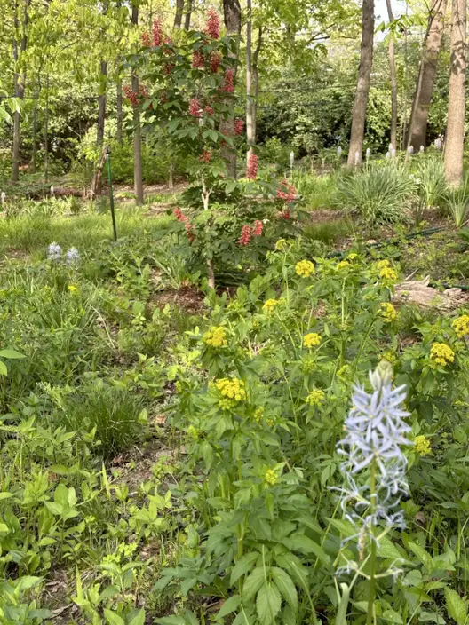 The Garden Conservancy Preservation Partner Garden