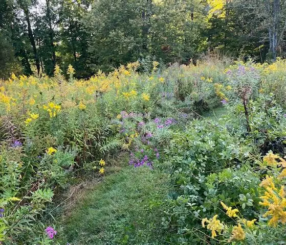 The Garden Conservancy Preservation Partner Garden