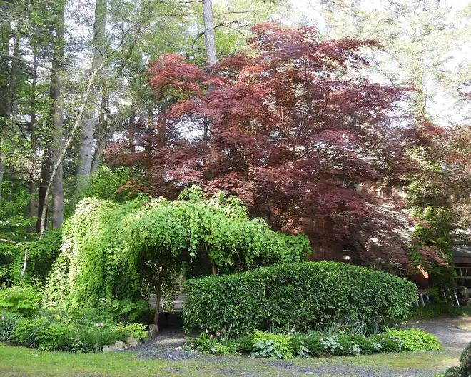 The Garden Conservancy Preservation Partner Garden