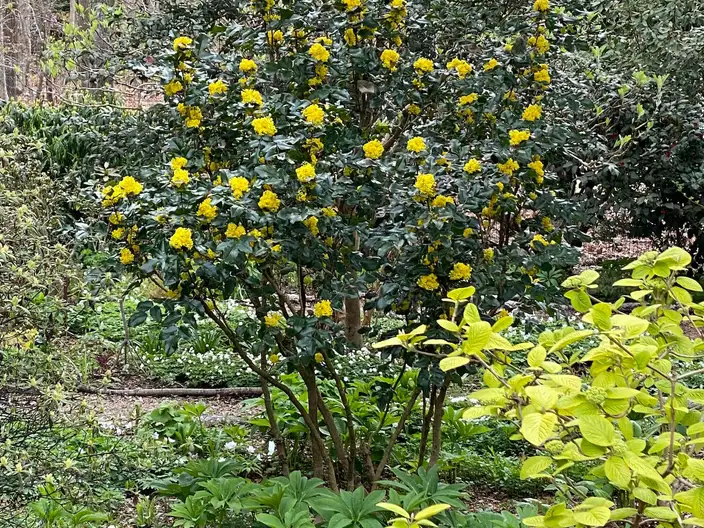 The Garden Conservancy Preservation Partner Garden