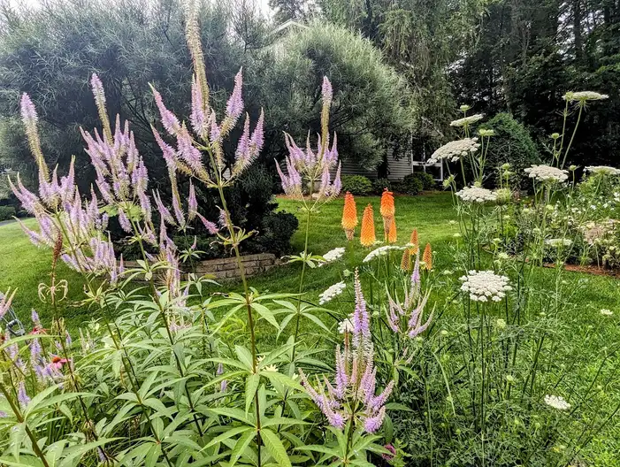 The Garden Conservancy Preservation Partner Garden
