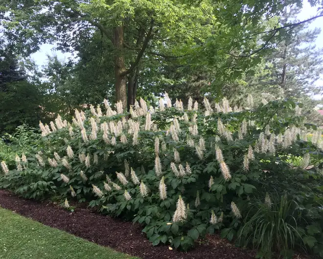 The Garden Conservancy Preservation Partner Garden