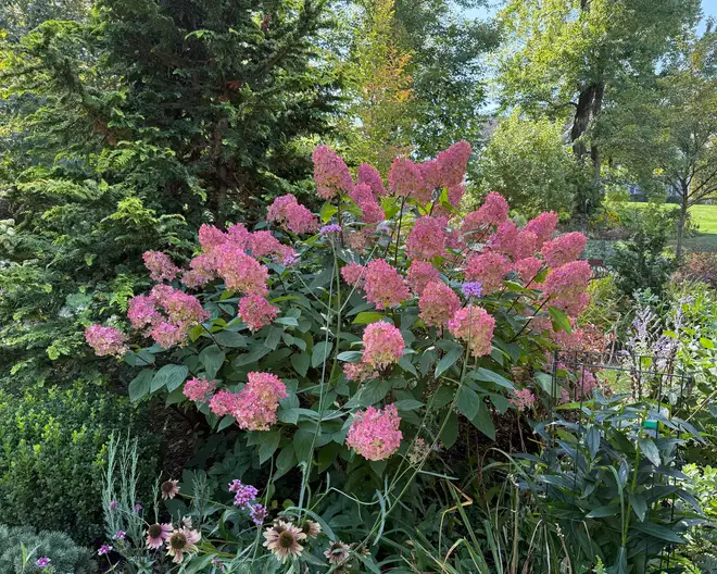 The Garden Conservancy Preservation Partner Garden