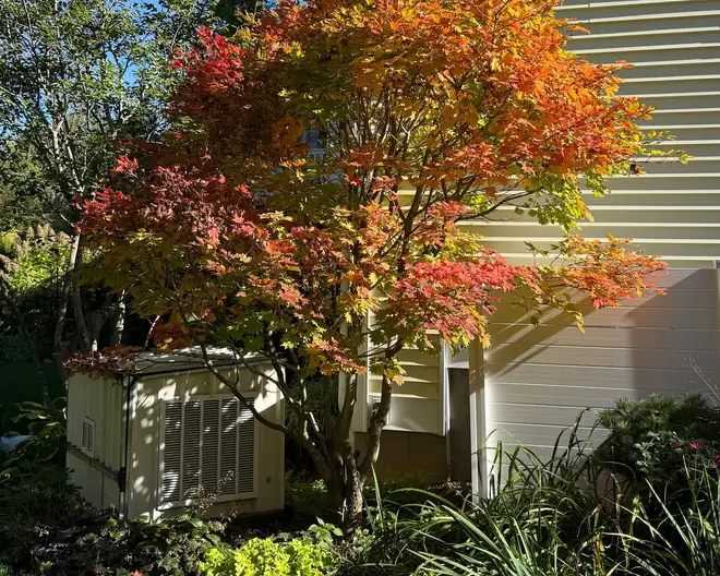 The Garden Conservancy Preservation Partner Garden