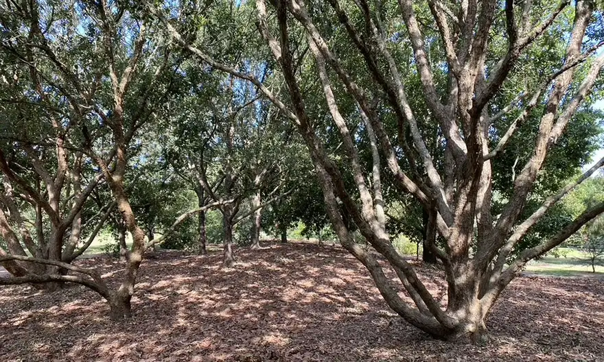 The Garden Conservancy Preservation Partner Garden