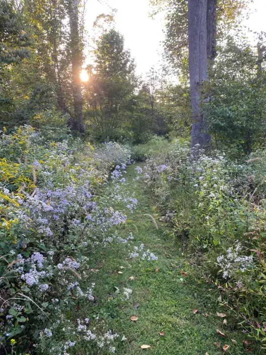 The Garden Conservancy Preservation Partner Garden