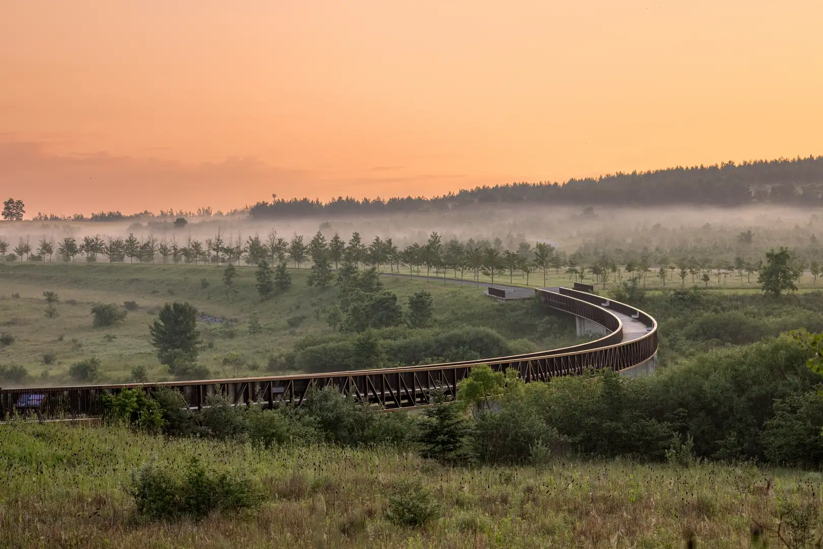 The Land Is Full: Nelson Byrd Woltz Landscape Architects with Thomas Woltz