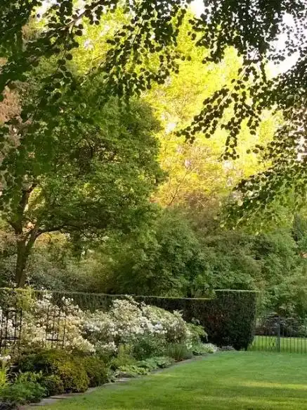 Saturday, June 6 Open at Garden of Carol & Jim Large