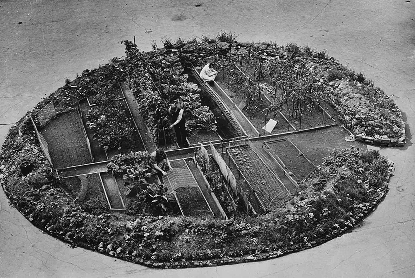 Tiny Gardens Everywhere: The Past, Present,  and Future of the Self-Provisioning City